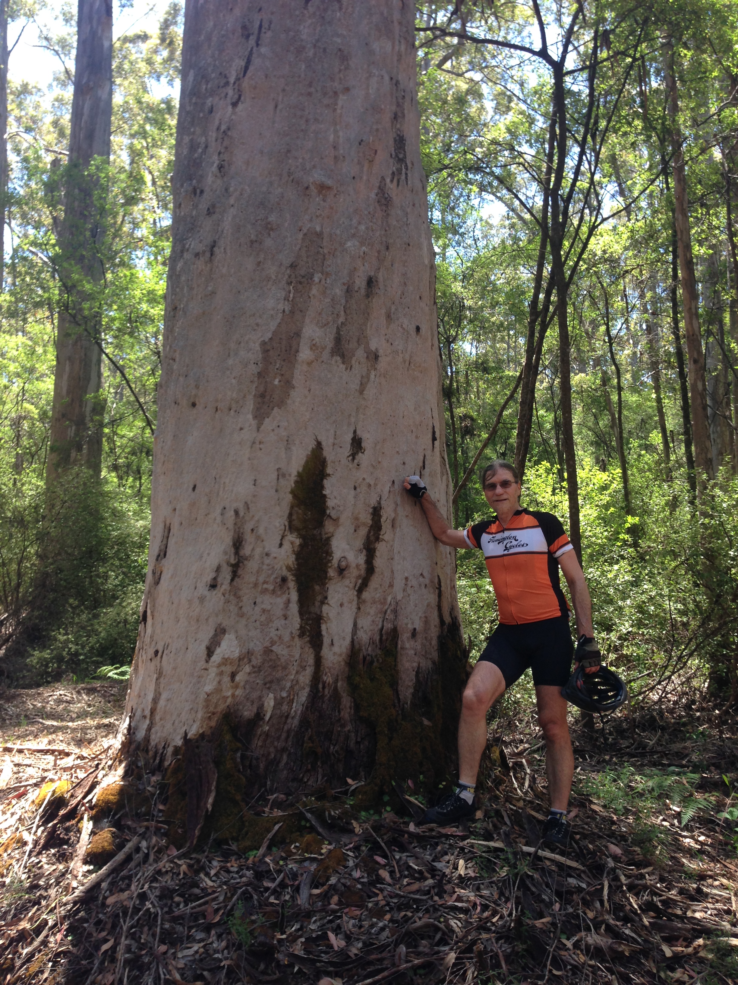 1253AF06-2F7C-487B-A466-D7B4C0FFB6CB