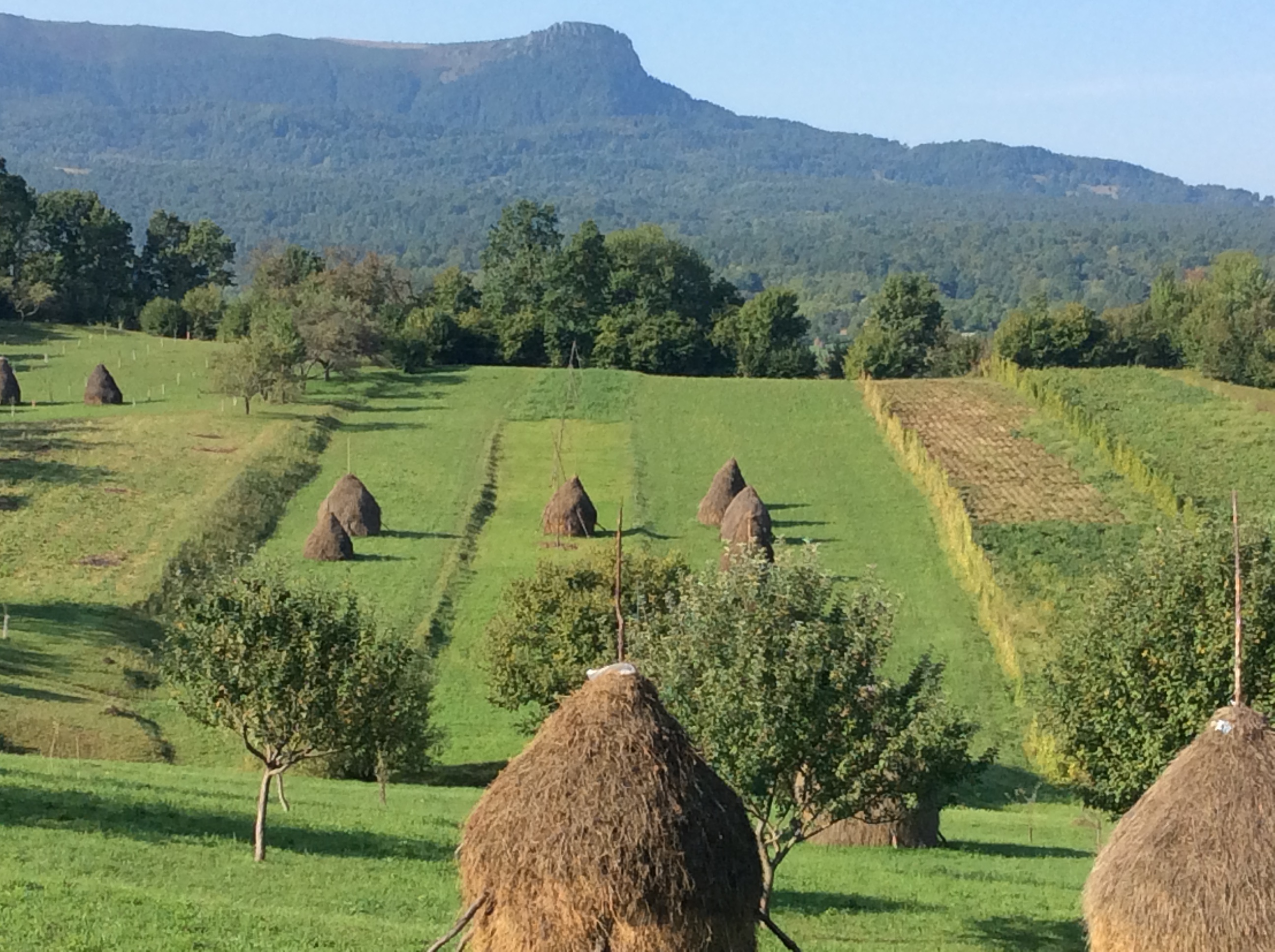 B7ECEA97-1DF9-4F38-BC75-895BA9F8B613