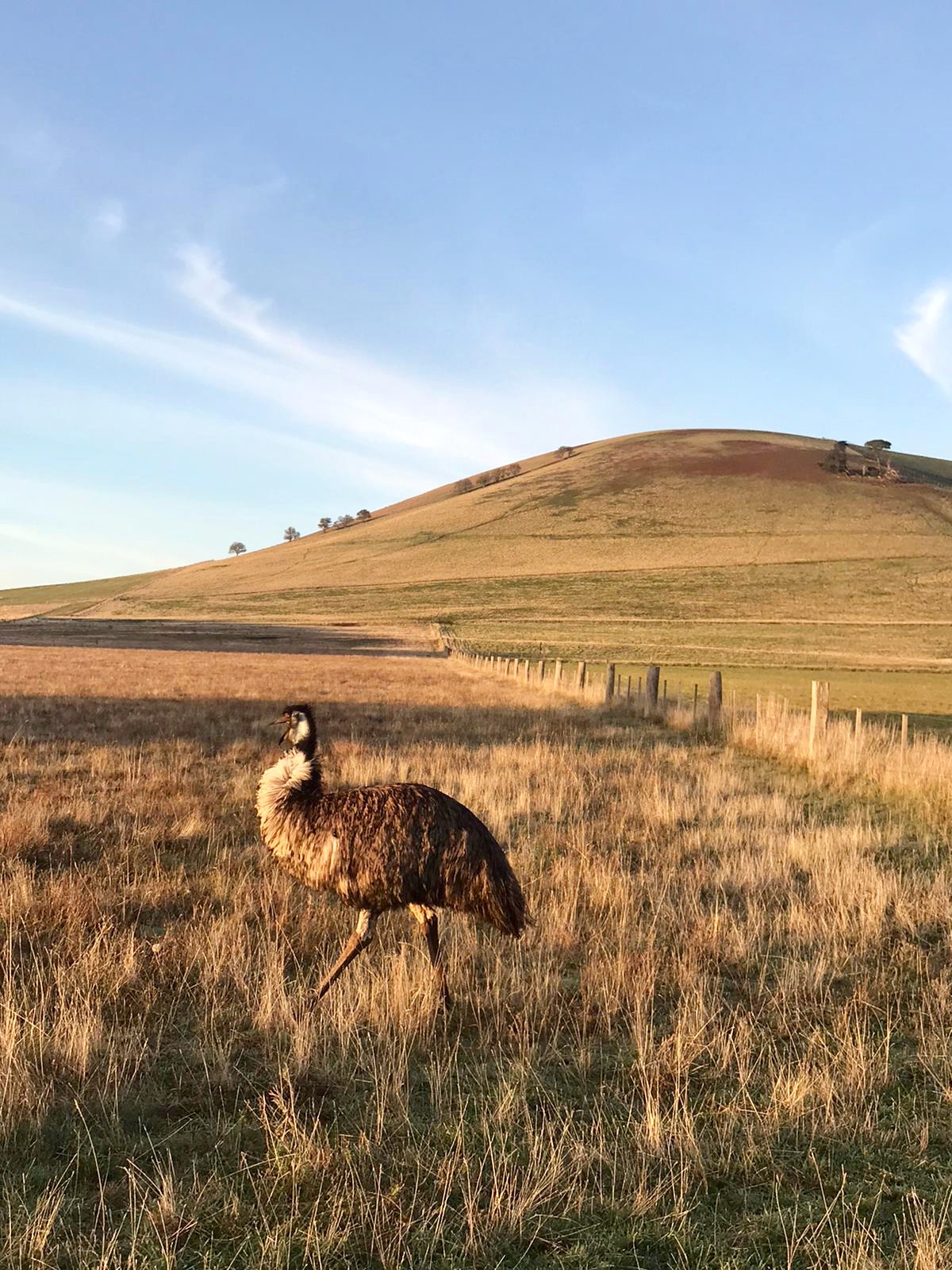 AE127F47-C31B-4404-8ED9-D66EBB9FCB1A