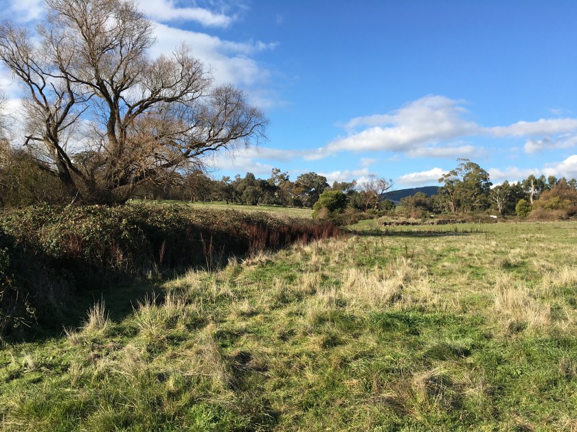 CB7CE30E-32ED-4468-9DB4-CBF7675F7620