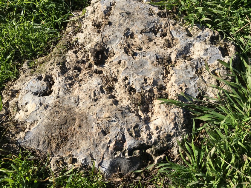 CBA45E16-FA45-4788-A178-716647004A2C